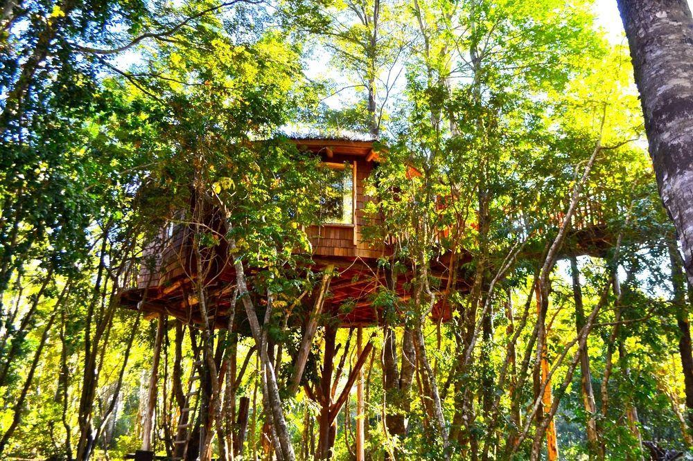 Tree Lodge Nidos De Pucon Exterior photo