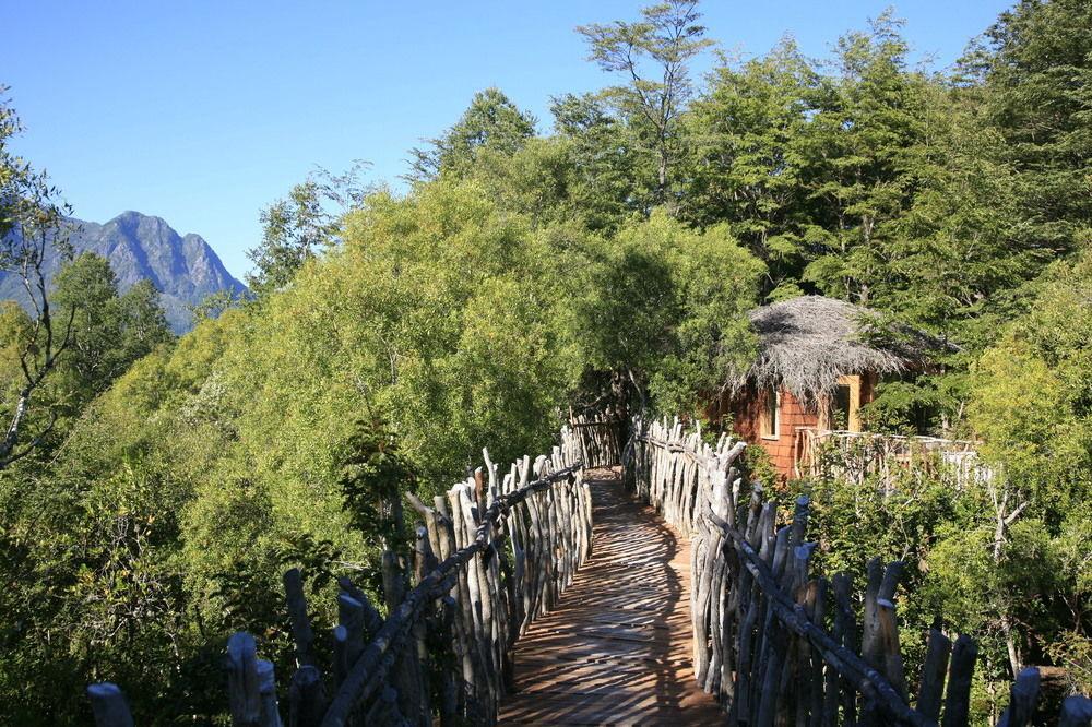 Tree Lodge Nidos De Pucon Exterior photo