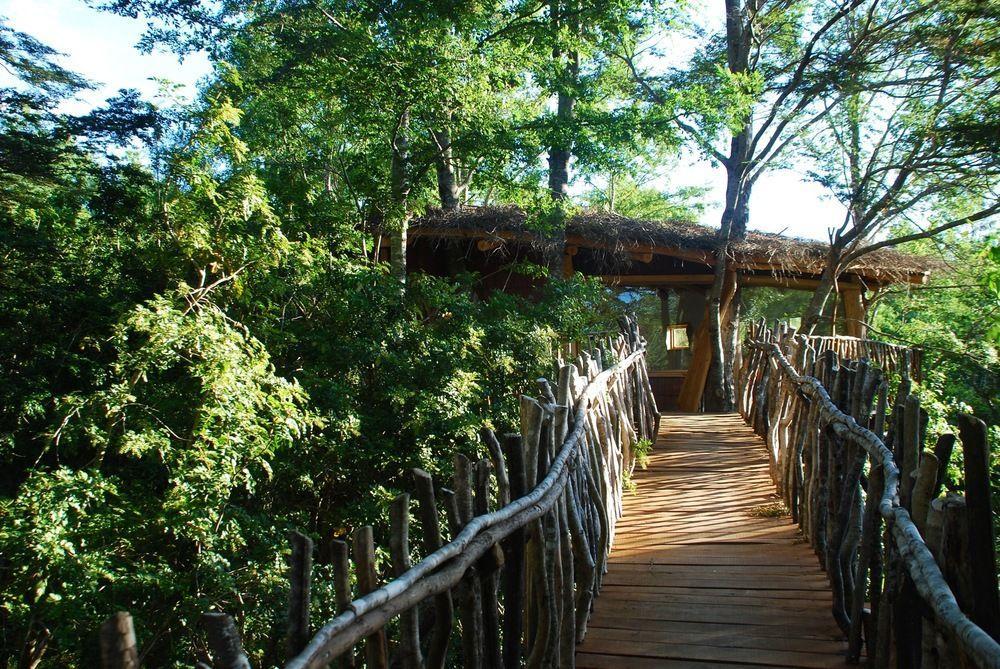 Tree Lodge Nidos De Pucon Exterior photo
